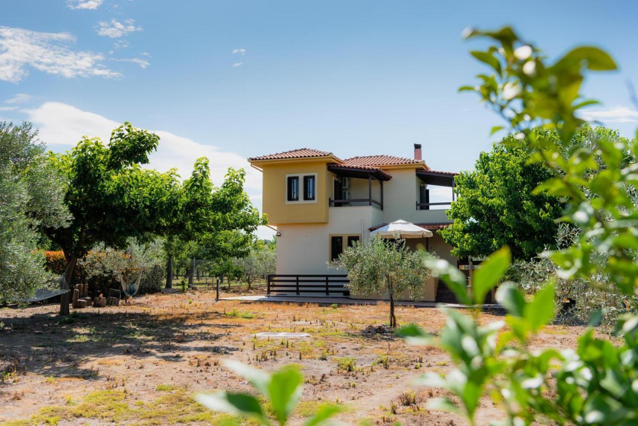 Villa Karavos Grove Káto Lekhónia Exterior foto